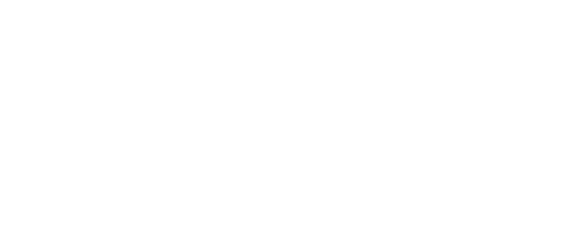 The Travels Company