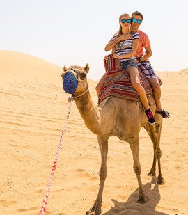 Camel Trekking In Abu Dhabi