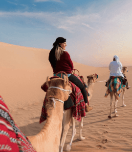 Camel Trekking In Abu Dhabi