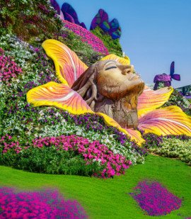 Miracle Garden Dubai